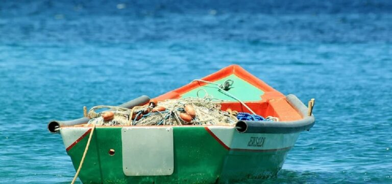 Cilento, al largo del mare di Sapri imbarcazione da diporto pescava illegalmente