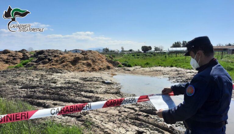 Pontecagnano Faiano, sequestrata area piena di rifiuti zootecnici