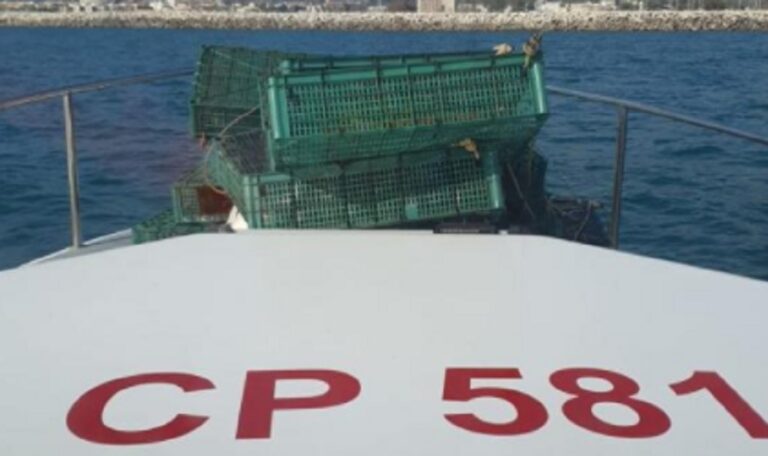 Salerno, sequestri della Guardia Costiera sulla pesca illegale