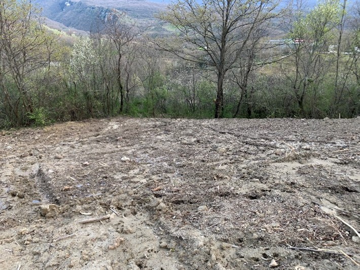 Castelnuovo di Conza, taglio boschivo illegale senza autorizzazioni