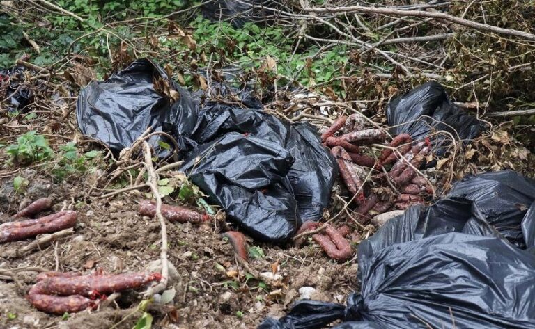 San Cipriano Picentino, salumi abbandonati nel bosco