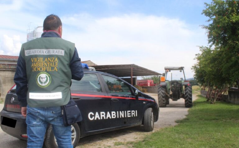 Controlli sull’ambiente, continua il lavoro dei Carabinieri di Eboli