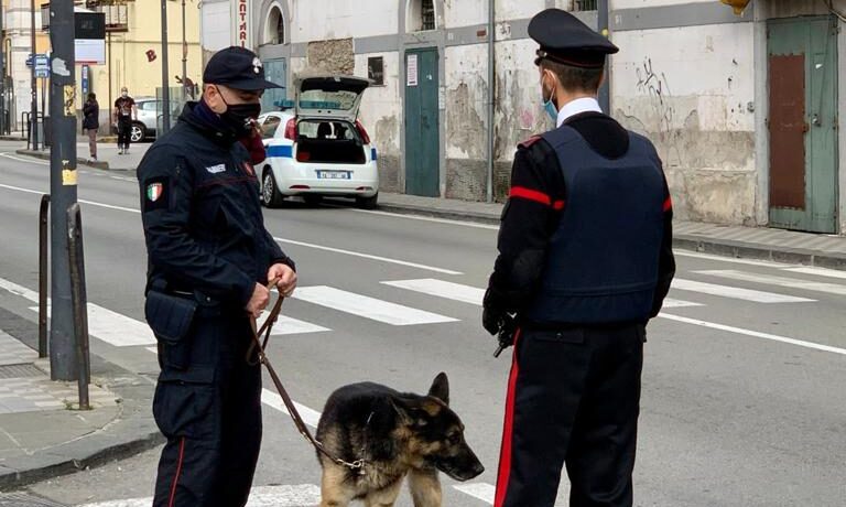 Pontecagnano, diversi multati e numerose denunce in città: il report