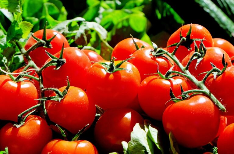 Nocera Inferiore, maxi sequestro di pomodoro nocivo