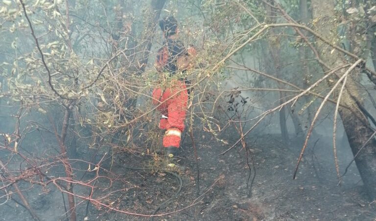 Cava, fiamme a San Giuseppe al Pennino: sul posto squadra antincendio