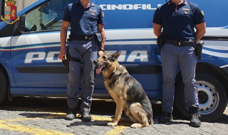 Salerno, controlli sul Lungomare Trieste: espulsi 4 cittadini stranieri