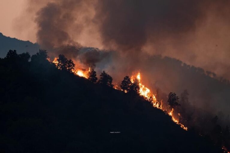 Baronissi: un ferragosto di fuoco e cenere