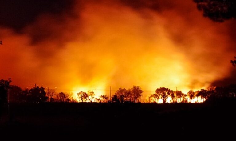 Campania maglia nera per gli incendi nel 2021