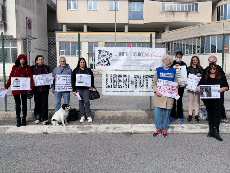 Animalisti in protesta a Salerno davanti alla Fiera Ornitologica