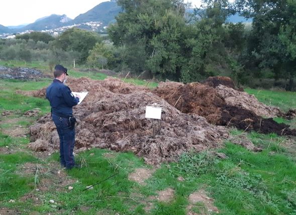 Olevano sul Tusciano, sequestro di un’area colma di rifiuti zootecnici