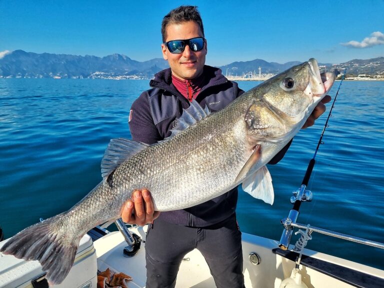 Branzino da record nel Golfo di Salerno: la cattura di Jacopo Gubitosi