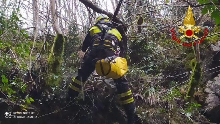 Calvanico: cane in un dirupo, soccorso dai vigili del fuoco