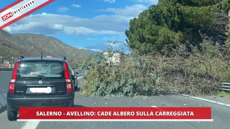 Autostrada Salerno-Avellino: un albero cade sulla carreggiata