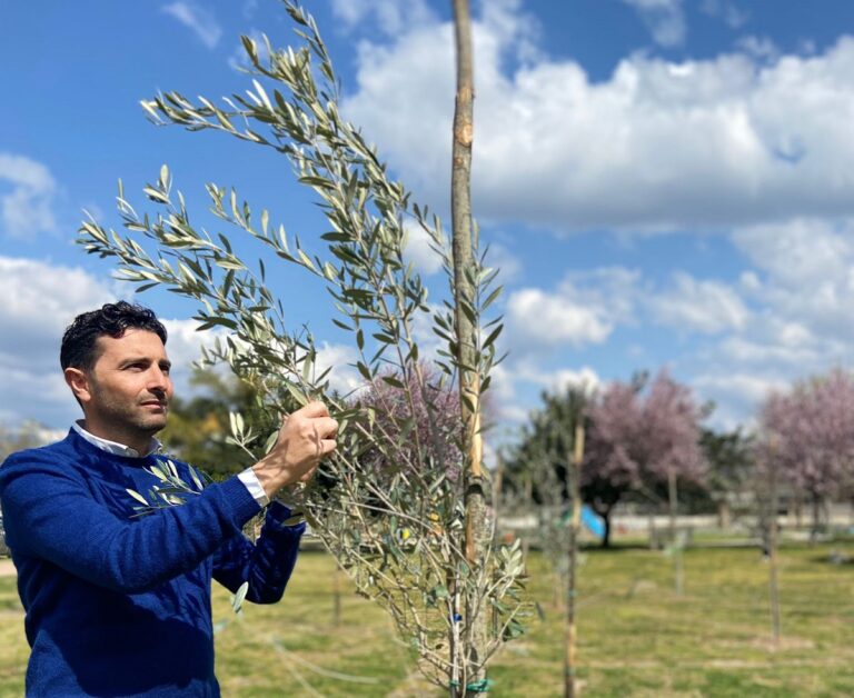 Pontecagnano: donati 51 alberi per la Giornata della Gentilezza