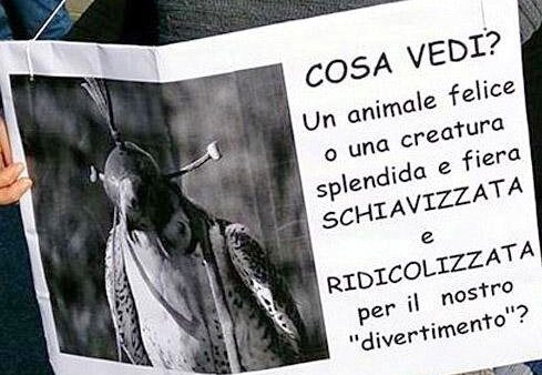 Uso di animali alla Fiera del Crocifisso Ritrovato: la polemica