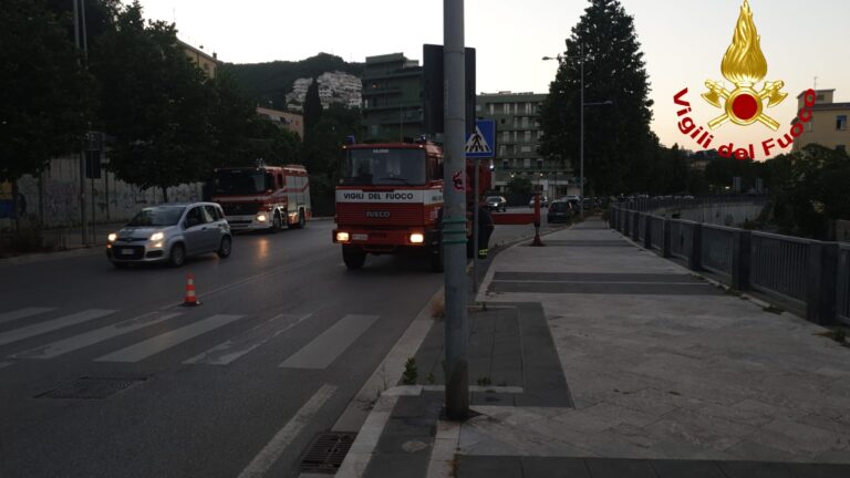 Salerno, cade albero nel fiume Irno