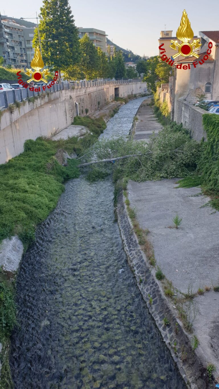 Cilento, SP 12: a Castelcivita i lavori di messa in sicurezza