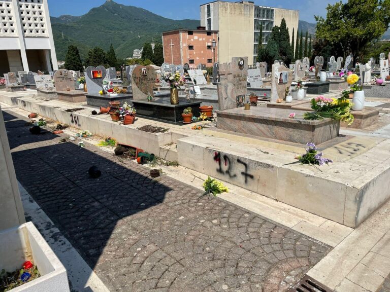 Salerno, cimitero occupato da pecore e capre: multati i pastori