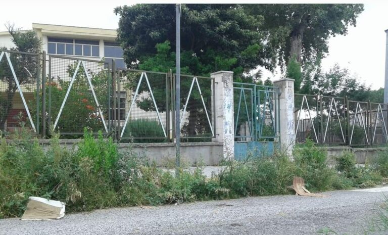 Erba incolta davanti alle scuole di Salerno: la denuncia di Celano
