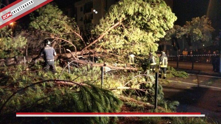 Tragedia sfiorata a Battipaglia: albero crolla su un’auto