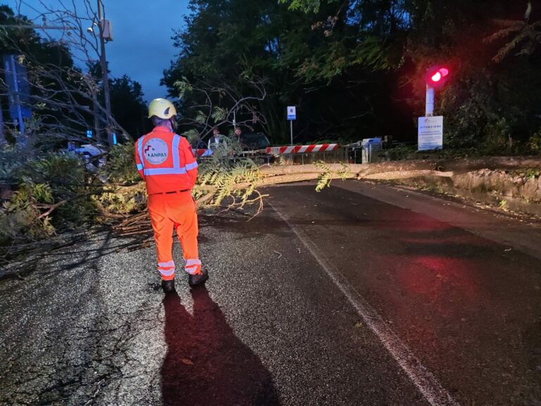 Baronissi: cade albero vicino al passaggio a livello