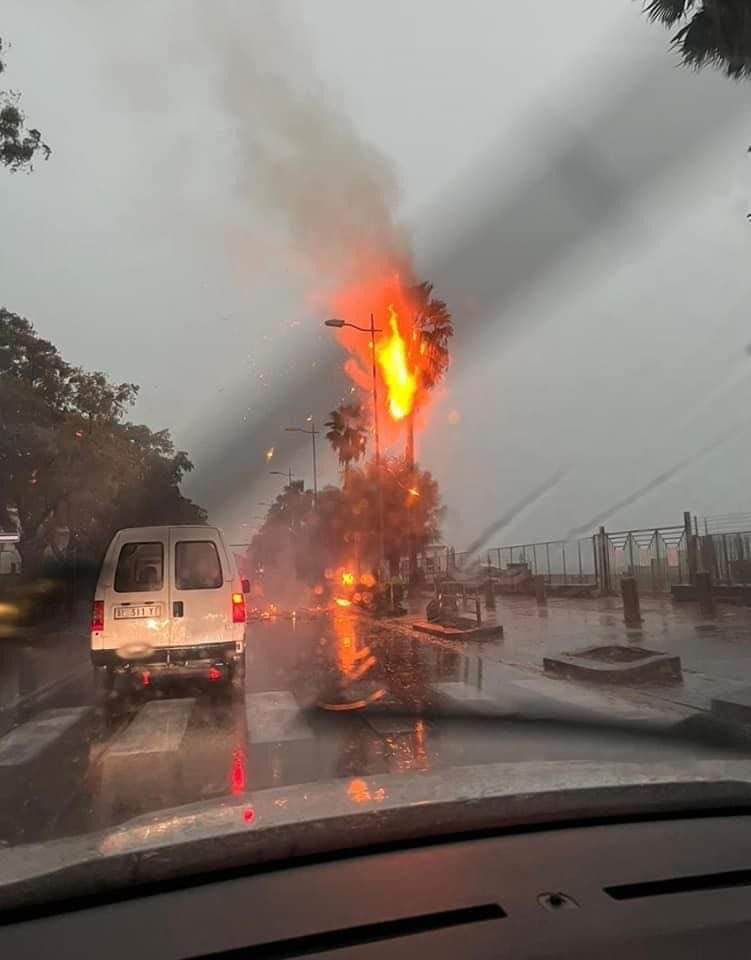 Maltempo a Salerno: a fuoco una palma colpita da un fulmine