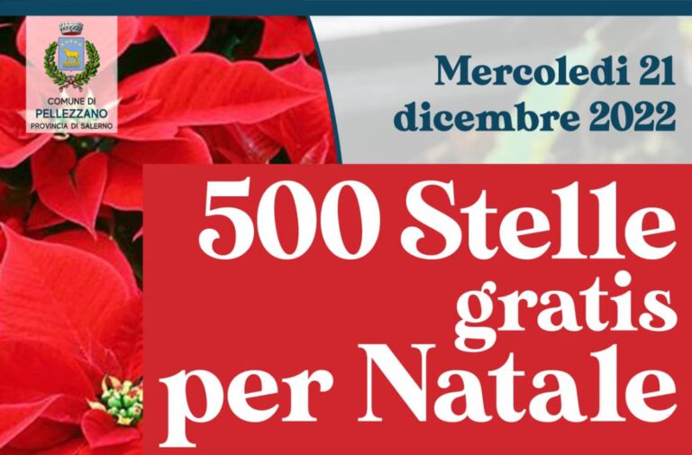 Pellezzano: 500 Stelle di Natale gratis